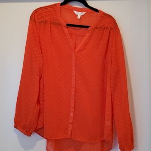 Peachy Sheer Long Sleeve